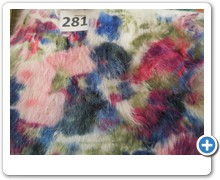 collection 10 Stampe fantasia 281